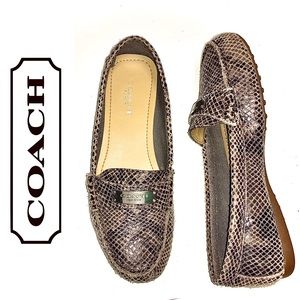 COACH snakeskin Fredrica loafers